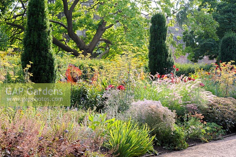 Hot border in the East Garden planted with a mix of herbaceous perennials and 
grasses including fennel, dahlias, achilleas and heucheras around upright forms 
of Irish yews, Taxus baccata 'Fastigiata', representing the 12 'Apostle Yews' 
which stood in the C19th parterre.
