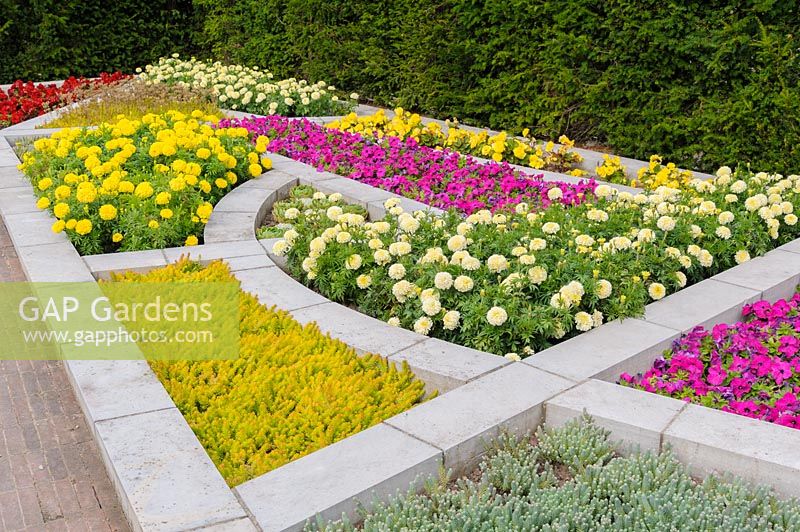 Colour garden representing the stained glass windows in the Lady Chapel in the cathedral, in the Bishop's Palace Garden, Wells planted with vivid summer bedding