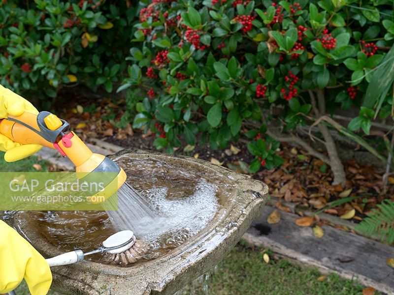 Cleaning birdbath