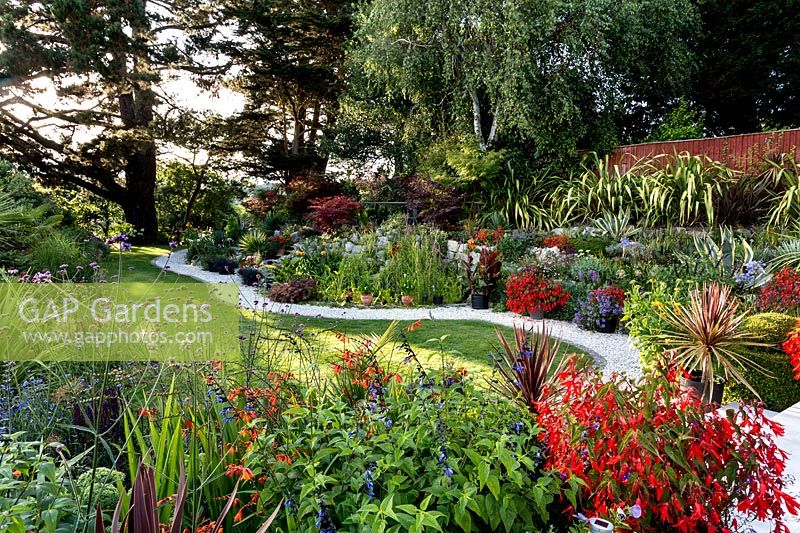 Mixed planting in borders, curved lawn and path - Pam Woodall's garden, 'Pinecombe' in Dorset, UK