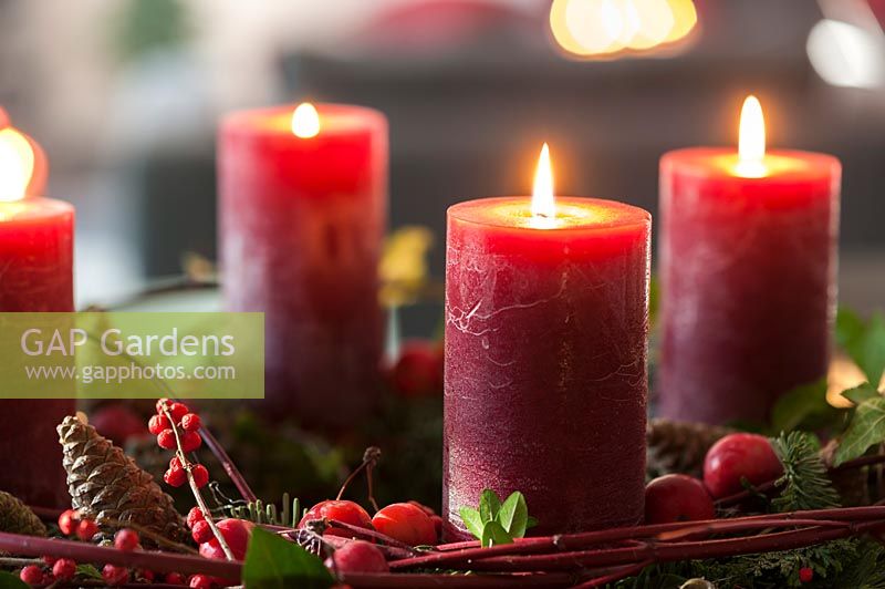 Advent wreath, with green sprigs, Cornus, Hedera helix, Ilex aquifolium, and pine cones, and four lit candles. 