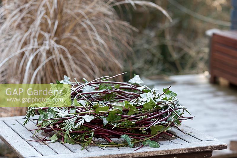 Wreath bonded out of ivy Hedera helix , cornus, thuja covered by white frost or powder snow, placed on a wooden table in a winter garden.