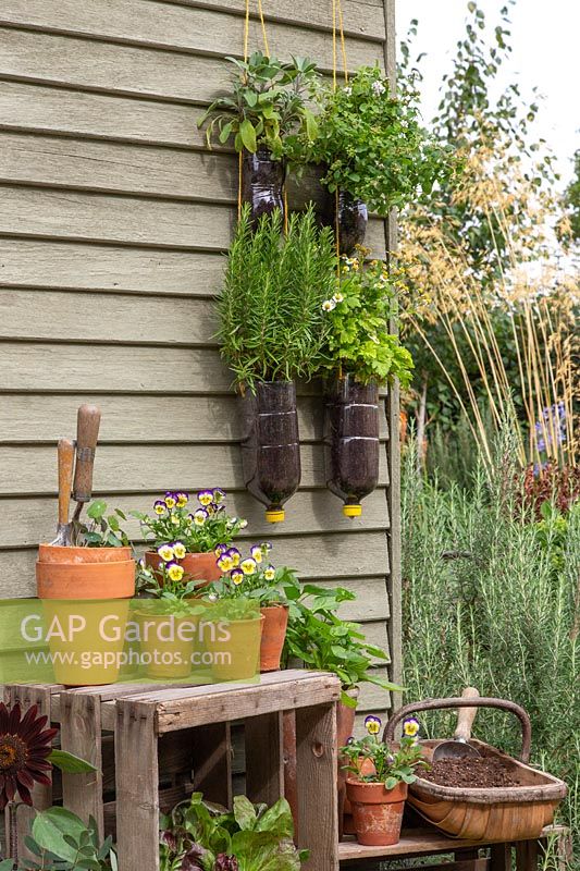 Tiered plastic bottle herb planters of Rosemary, Feverfew, Sage and Marjoram