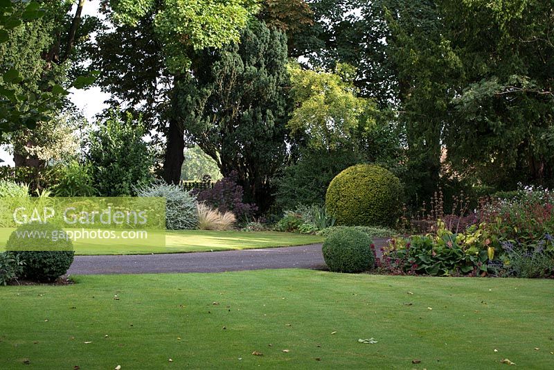 View of formal garden with large clipped Buxus - box - balls. 