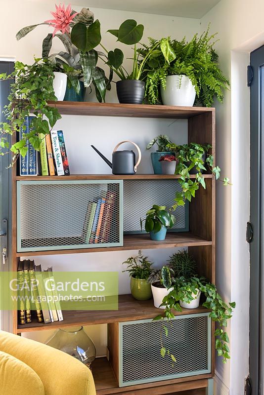 Houseplants in pots on shelving. RHS Malvern Spring Festival, 2018.