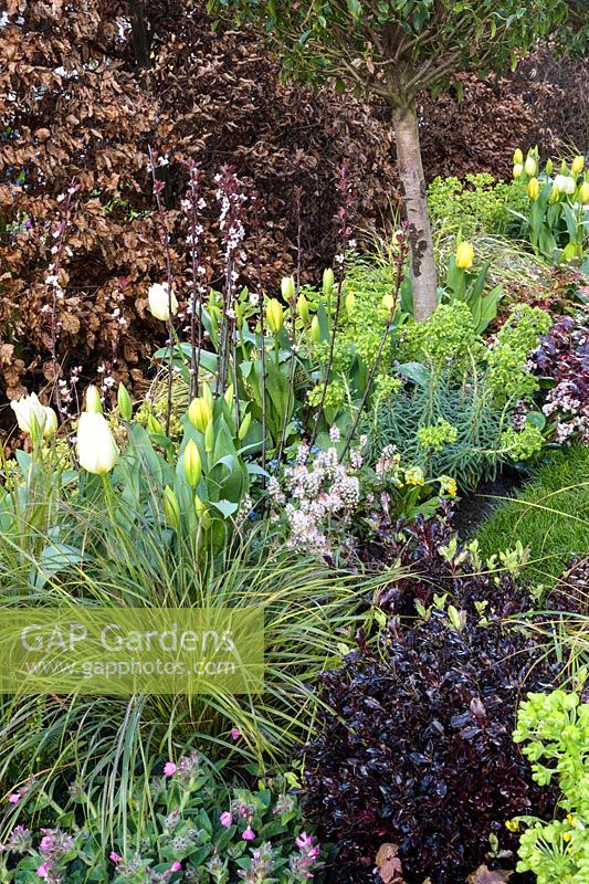 Mixed spring border in show garden - 'The Yardley Flower' Garden, Ascot Spring Garden Show, 2018.

