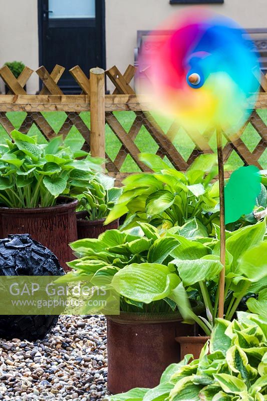Brightly coloured windmills among pots of hostas deter pigeons.