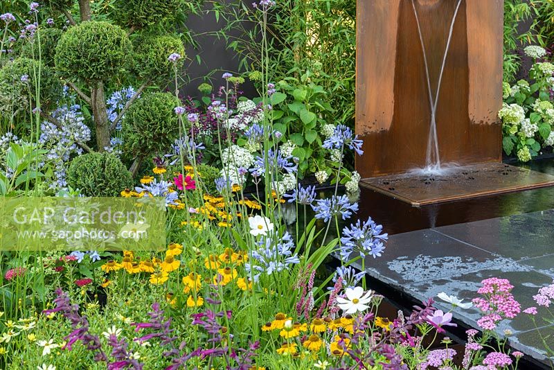 COR-TEN steel water feature, 'Niwaki cloud' pruned conifers, Phyllostachys, Hydrangea and Cosmos.'Brilliance in Bloom', RHS Hampton Flower Show 2018