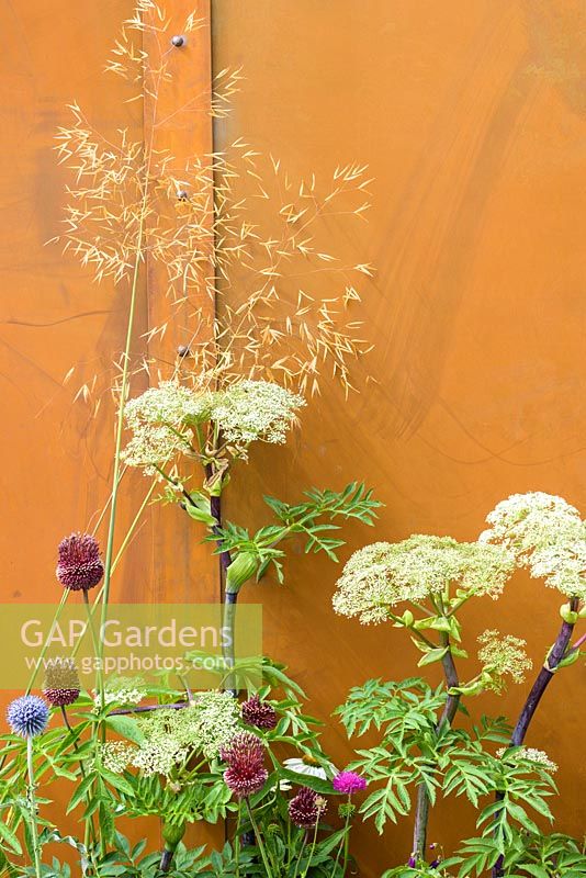 Mixed planting against orange metal wall. 'Apeiron: The Dibond Garden', RHS Hampton Court Palace Flower Show, 2018 RHS Hampton Flower Show 2018
