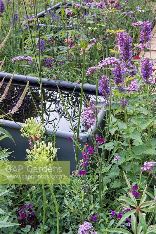 Steel trough set amongst mixed planting of flowering perennials - Southend Young Offenders': A Place to Think, RHS Hampton Court Palace Flower Show, 2018.