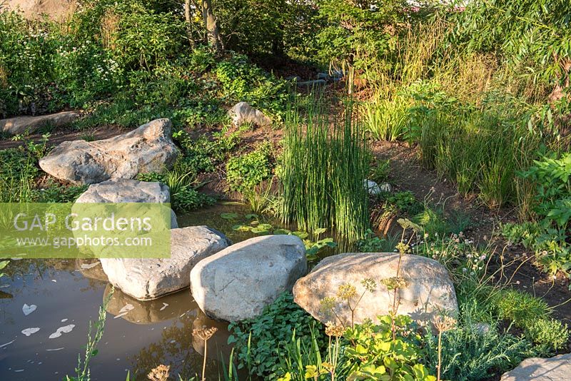 Natural style planting with boulders over a pond with Equisetum fluviatile - Countryfile's 30th Anniversary Garden, RHS Hampton Court Palace Flower Show, 2018.