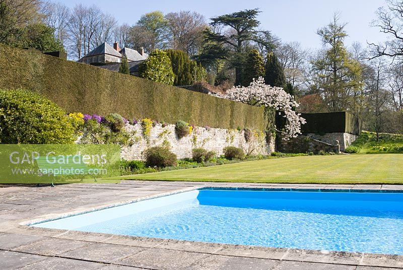 Swimming pool with terrace wall, clipped hedging and formal lawn in background
