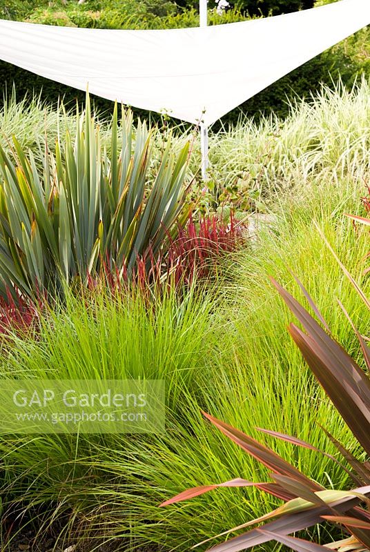 Contemporary planting design for bed of ornamental grasses plus Phormium
with suspended awning beyond
 