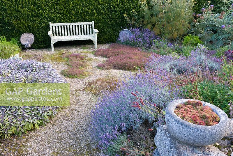 Sunken herb garden with thymes, sage, lavender and fennel. Cider House, Buckland Abbey, Yelverton, Devon, UK