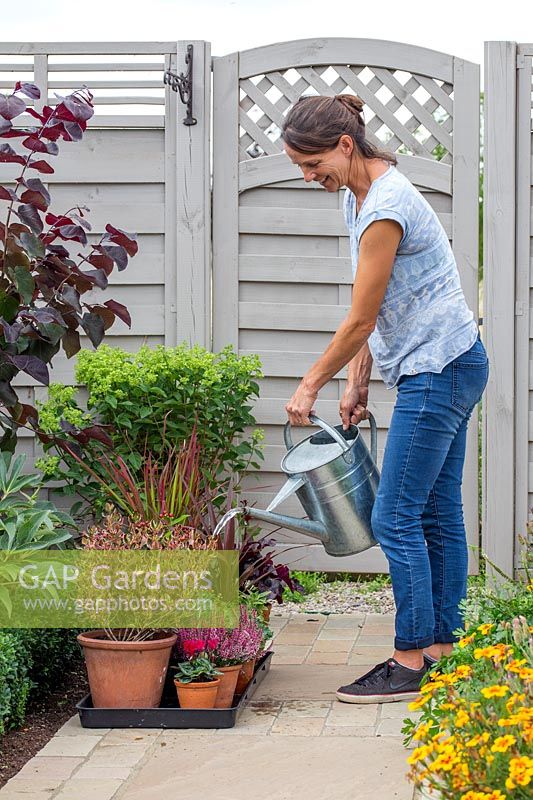 Woman watering plants placed in plastic tray for holiday care. 