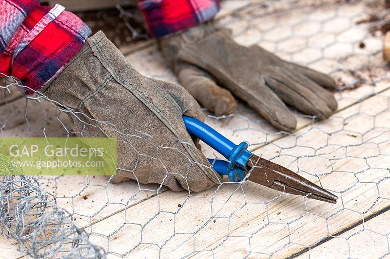 Woman cutting piece of chicken wire netting with wire cutters wearing heavy duty gloves. 