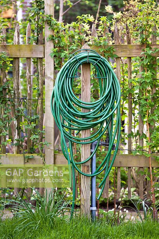 Garden hose on a wooden fence.