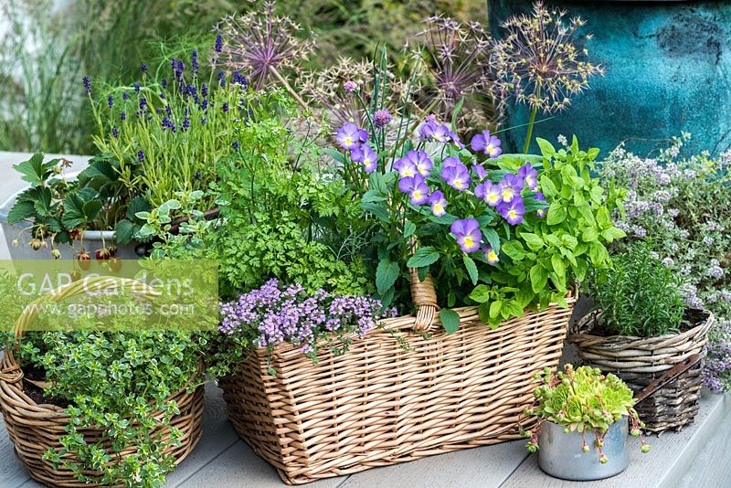 A woven, wicker herb basket planted with multiple herbs. 