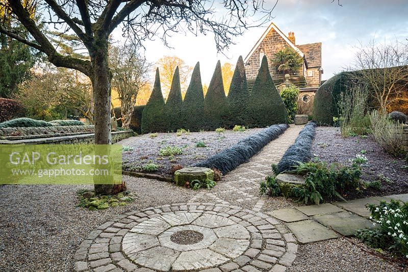 View of clipped topiary pyramids in winter garden. York Gate garden, Leeds, UK.
