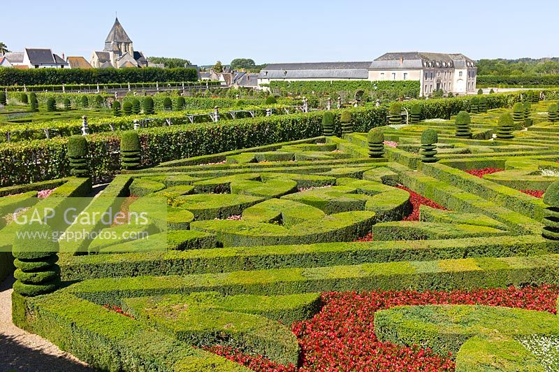 Ornamental Garden with clipped Buxus sempervirens and Taxus topiary, Chateau de Villandry, Loire Valley, France