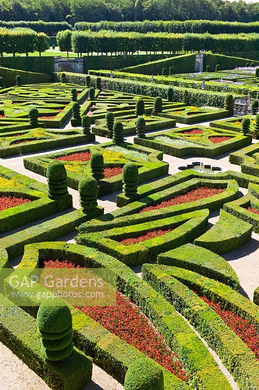 Ornamental Garden with clipped Buxus sempervirens and Taxus at Chateau de Villandry, Loire Valley, France