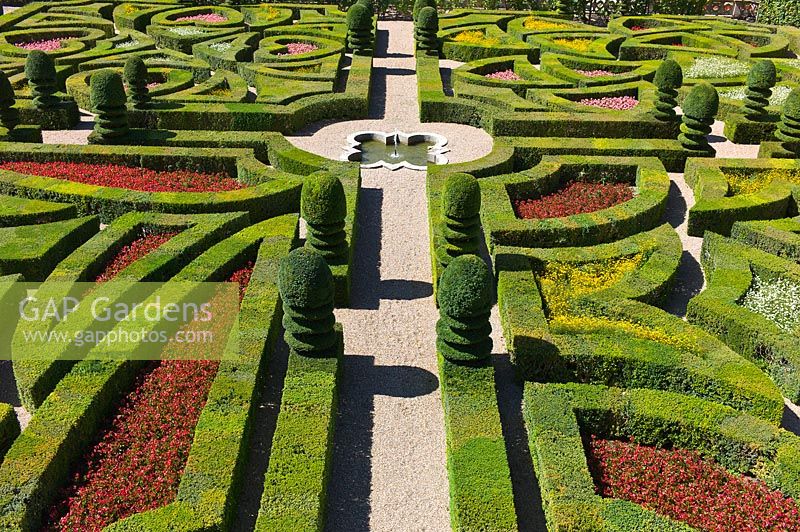 Ornamental Garden with clipped Buxus sempervirens and Taxus at Chateau de Villandry, Loire Valley, France