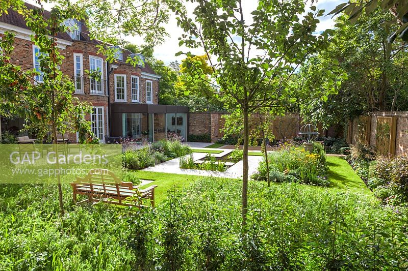 View through wild turf bed and Sarcococca hookeriana hedge to the garden beyond. Garden designed by Peter Reader Landscapes.