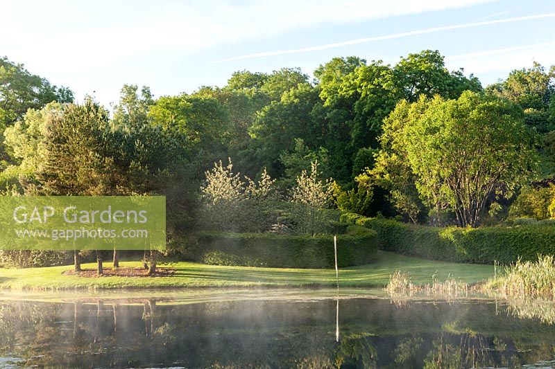 Mist rising from the lake at sunrise, with view to clipped Hornbeam hedge enclosures.