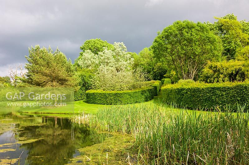 View of clipped Hornbeam hedge enclosures by lake. Plaz Metaxu Garden, Devon, UK. 