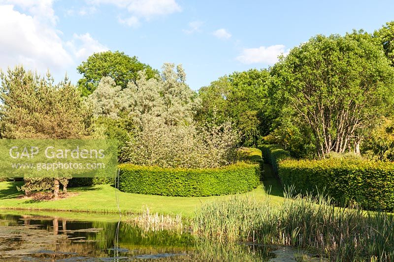 View over lake to clipped Hornbeam hedge enclosures.