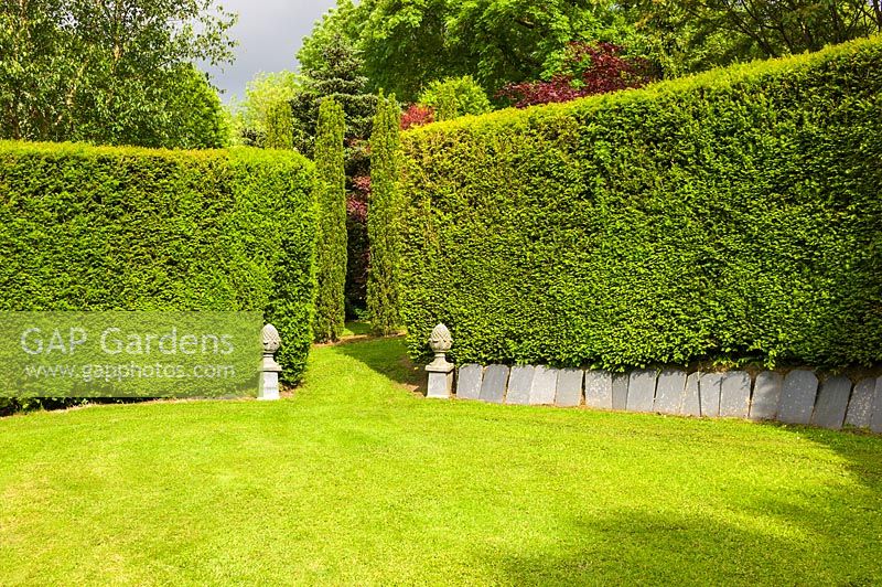 A clipped Yew hedge enclosure. Plaz Metaxu Garden, Devon, UK. 