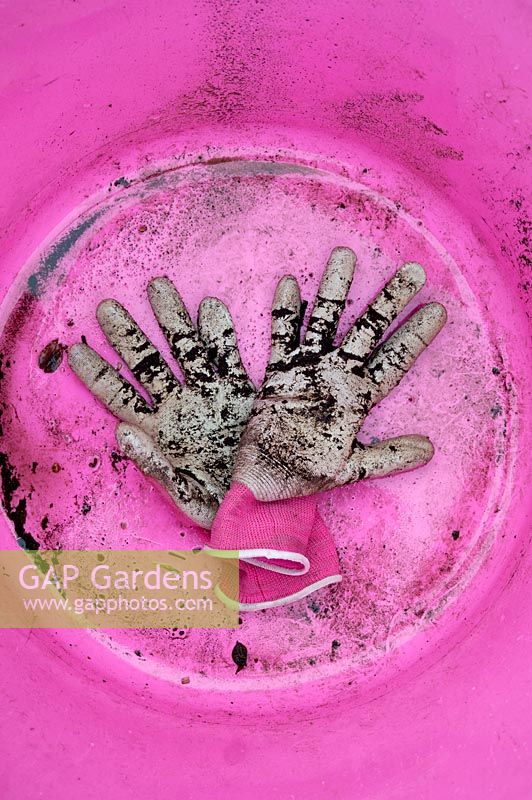 Garden gloves in bottom of pink garden trug. 