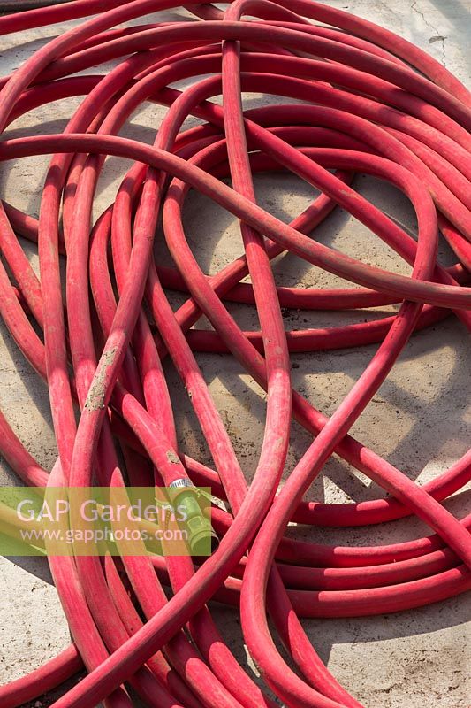 Red coiled industrial grade rubber watering hose on concrete