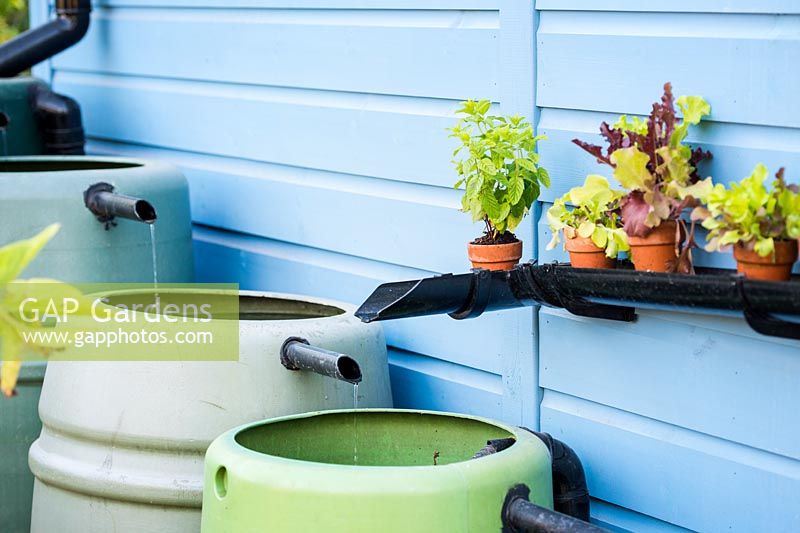 Saving water with gutters as a shelves for vegetables, herbs and keeping rain 
barrels in the garden 
RHS Grow Your Own with The Raymond Blanc Gardening School, 
RHS Hampton Court Palace Flower Show 2018