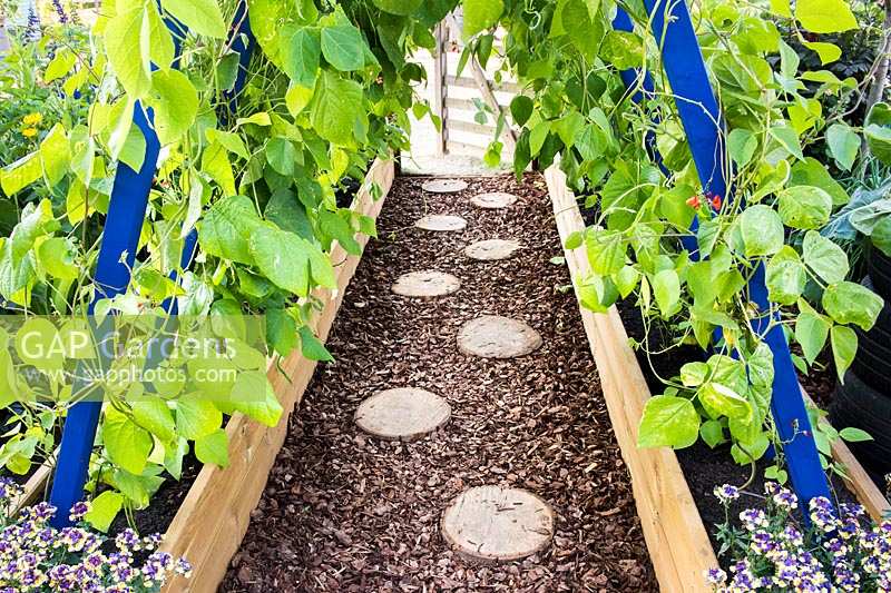 Path made from sliced logs between raised beds with runner beans. RHS Grow Your Own with The Raymond Blanc Gardening School, RHS Hampton Court Palace Flower Show, 2018. 