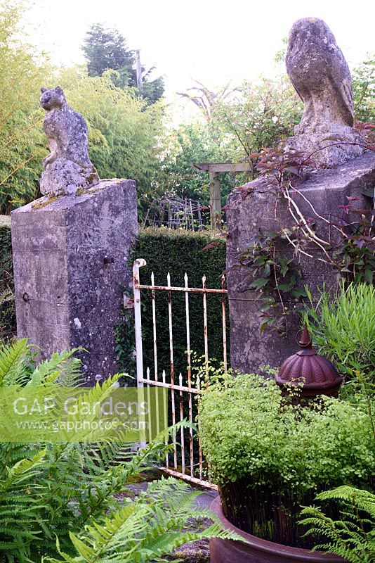 Gateposts in the form of the owl and the pussycat surrounded by lush ferns and climbing clematis at the Barn House, Glos in May