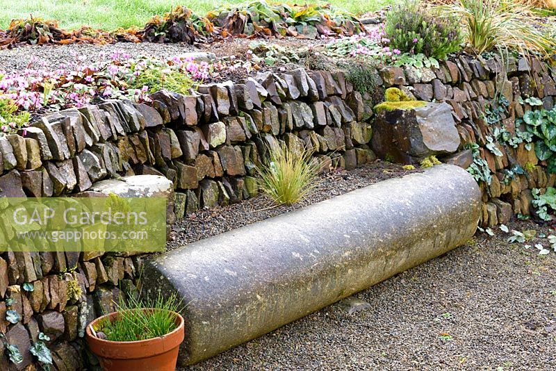 Stone cylinder turned seat in stone faced bank with cyclamen, Devon, UK