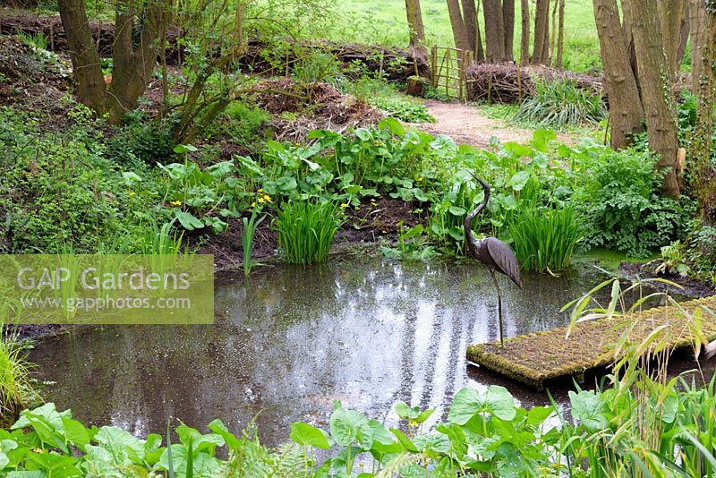 Natural pond with Caltha, Lysichiton, ferns and metal heron on jetty, Ross-on-Wye, Herefordshire