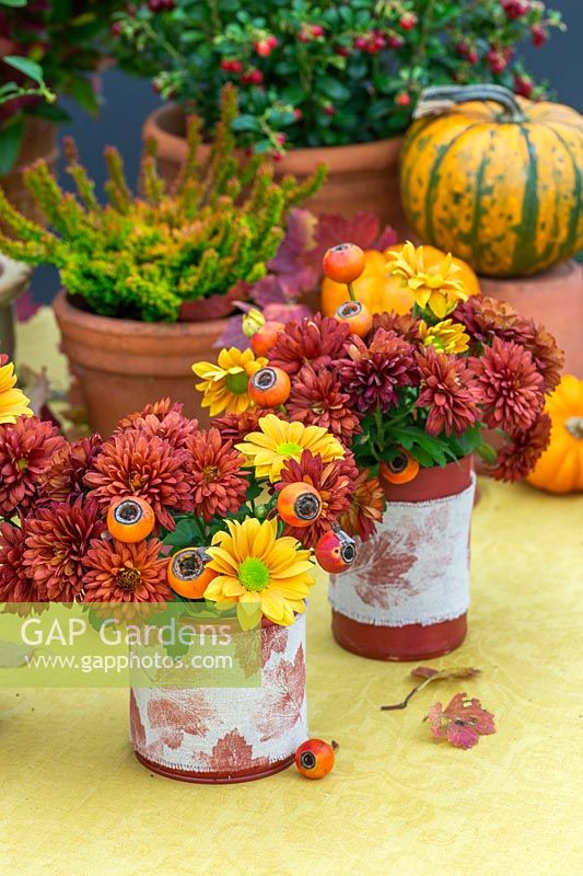 Autumnal arrangement, including painted tin can vases with posies of Chrysanthemums and rose hips.