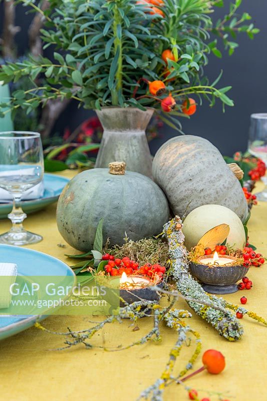 Rustic autumnal table centrepiece, using squash, lichen encrusted branch, moss, Cotoneaster berries and tea light candles.