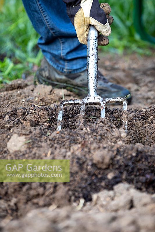 Digging bark into soil to prepare ground for planting.