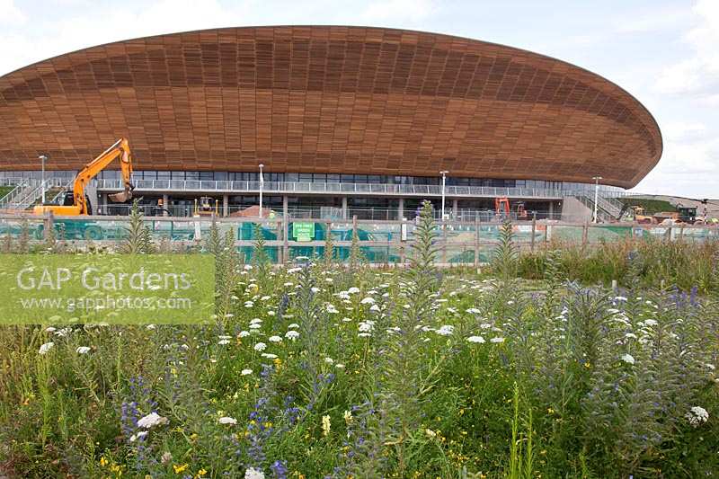Wildflower planting during construction of Olympic Stadium beside Velodrome, London, July 2011