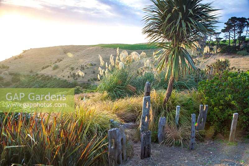 View from Fishermans Bay Garden to headland and sea. New Zealand