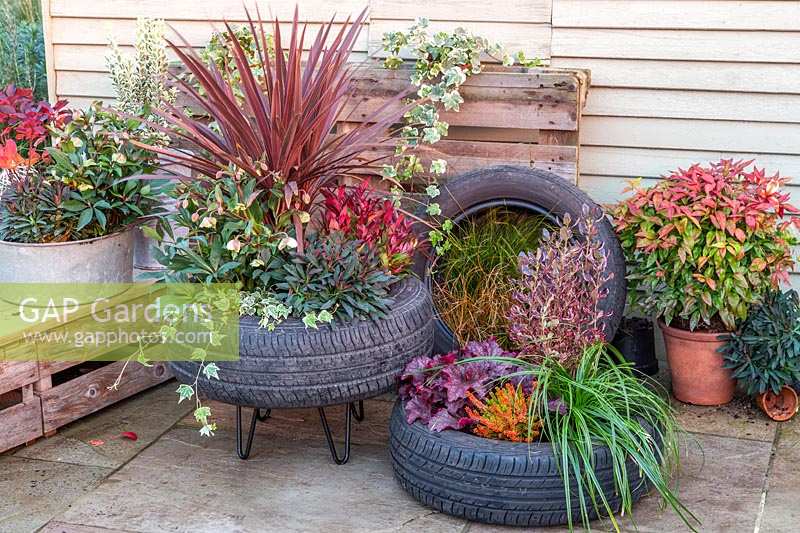 View of raised tyre planter, planted with autumnal plants.