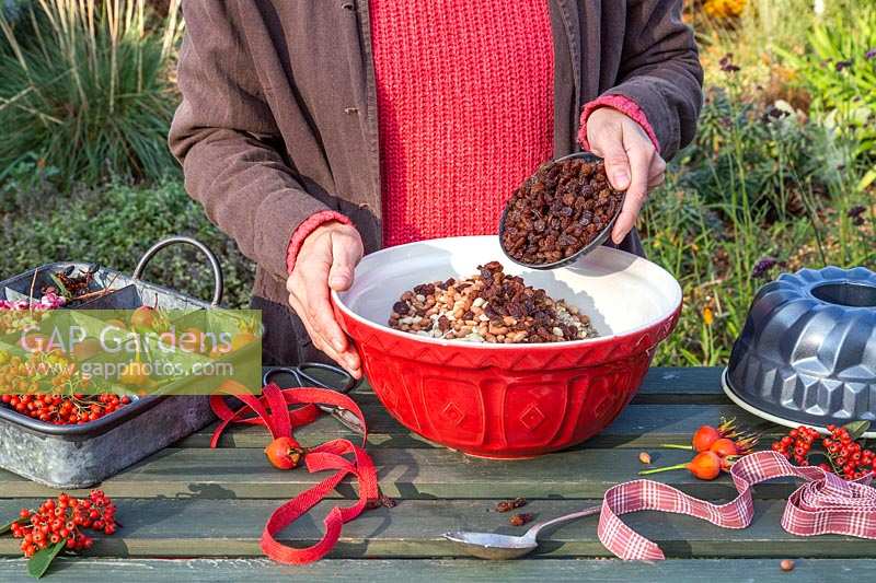 Woman adding raisins to mixture in enamel bowl to make bird feeder bundt cake.