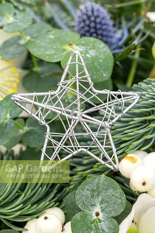 Decorative silver star pick in christmas floral arrangement.