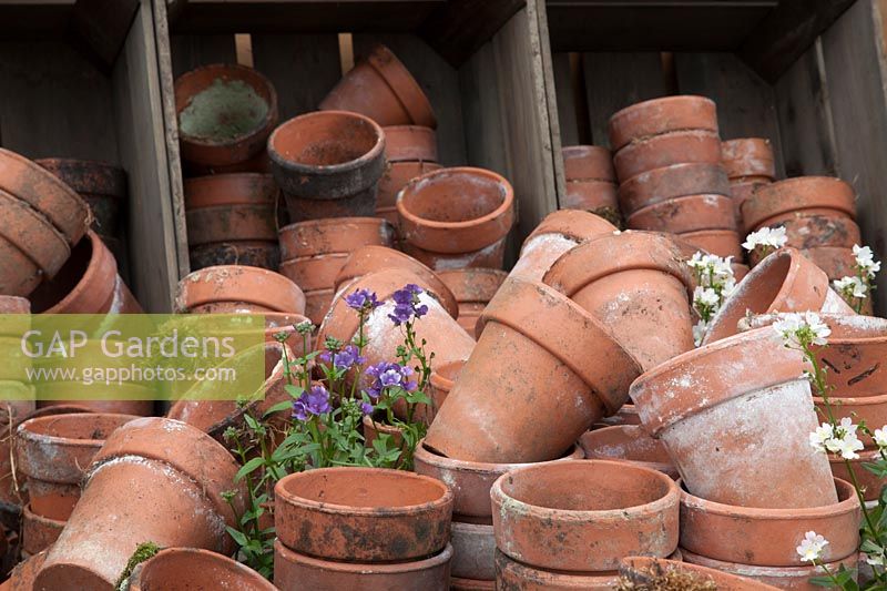 Wooden crate of dirty terracotta pots.