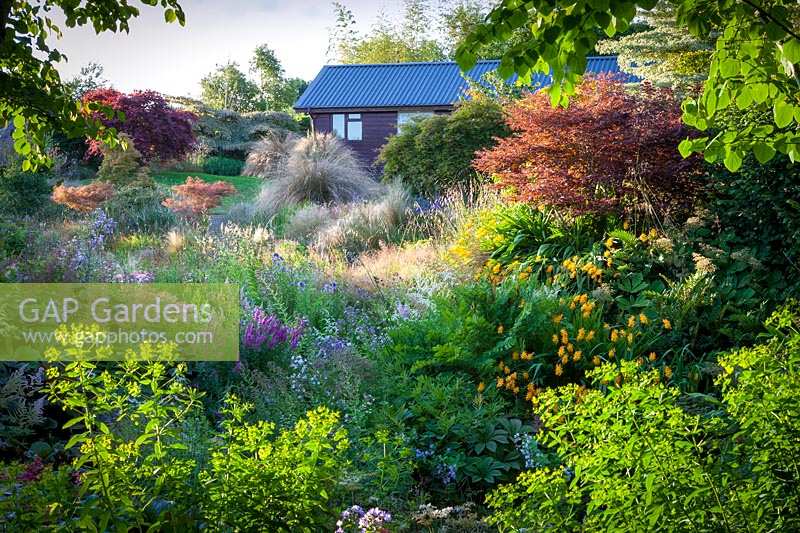View over mixed planting of flowers and ornamental grasses to building beyond