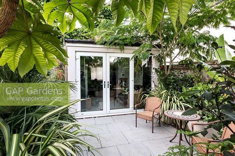 Garden patio with chairs and table surrounded by exotic borders, included canopy of a Tetrapanax and Albizia Julibrissin.