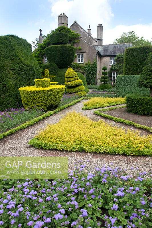 Box-edged borders and unusual topiary shapes at Levens Hall and Garden, Cumbria, UK, 